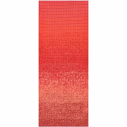 Rico Design Ricorumi Spin Spin fil