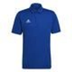 T-shirt Homme/Adulte - ADIDAS - Entrada 22 Bleu - Couleur principale Bleu