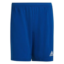 Short de football - Adidas - Ent22 - 100% Polyester Recyclé - Taille élastique - Logo brodé