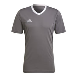 T-shirt Homme ADIDAS Entrada 22 Gris - Coupe Classique