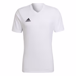 T-shirt ADIDAS Entrada 22 Blanc - Homme/Adulte