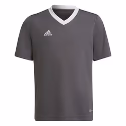 T-Shirt - ADIDAS - Entrada 22 Jsy - Homme - Gris - Manches courtes - Regular