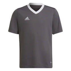 T-Shirt - ADIDAS - Entrada 22 Jsy - Homme - Gris - Manches courtes - Regular