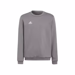 Sweat ADIDAS Entrada 22 Gris - Enfant - Manches longues - Col capuche
