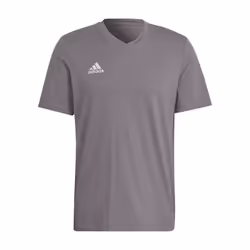 T-shirt Entrada 22 en Gris