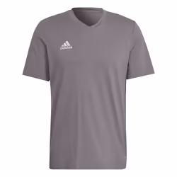 T-shirt Entrada 22 en Gris
