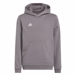 Sweat - ADIDAS - Entrada 22 Hoody - Homme - Gris - Manches longues - Col capuche