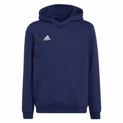 Sweat ADIDAS Entrada 22 - Homme - Bleu - Manches longues - Col capuche