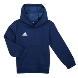 Sweat À Capuchon Adidas Entrada 22 Enfants - Marine - Manches Longues - Football