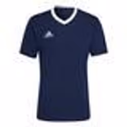 T-Shirt ADIDAS Entrada 22 Bleu marine - Homme/Adulte
