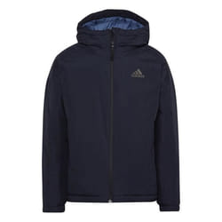 Vestes Adidas Traveer Insulated HD8903