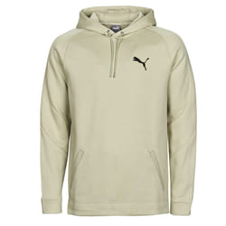 Sweatshirt à capuche Puma Day in Motion