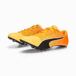 PUMA 377379_01_45 Chaussure d'athlétisme Femelle 45