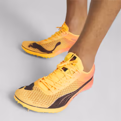 Puma Evospeed Distance Nitro Elite Spikes Noir