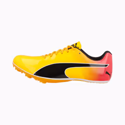 PUMA 377001_01_44 Chaussure d'athlétisme Mâle 44