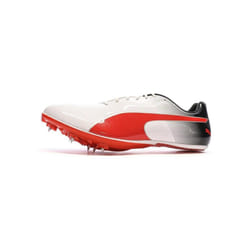 Sports Shoes Evospeed Sprint 14 Synthétique Blanc