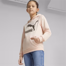 PUMA 530209_66_116 chandail et sweat de sport