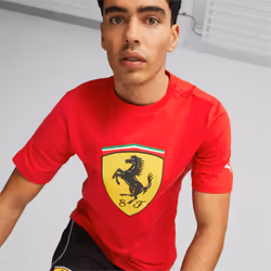 PUMA 538175_02_L, L, SML, Rosso Corsa, 1 pièce(s)