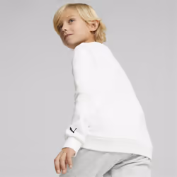 PUMA 673671_02_92 chandail et sweat de sport