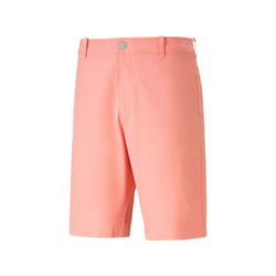 Short Puma Dealer 10"