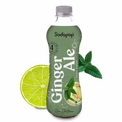 mySodapop 10025879, 500 ml, Gingembre, 1 pièce(s), 38 kcal