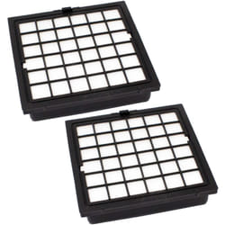 Vhbw - 2x filtre compatible avec Bosch Ergomaxx bsg 8 - Series, bsg 8 Pro1, bsg 8 Pro1/02, bsg 8 Pro1/09, bsg 8 Pro1/10, bsg 8 Pro1/15 - Filtre hepa
