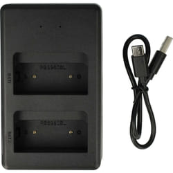 Chargeur double compatible avec Palfinger EEA2512, 960, 790, 590, RC400 batteries de radio - Socle + usb-c, 7,2 v, 0,6 a - Vhbw