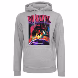 Sweatshirt à capuche Mister Tee Wonderful