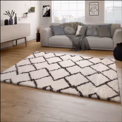L'élégance ne doit pas forcément être associée à de l'inconfort. Les tapis à longs poils moelleux de cette collection témoign ...