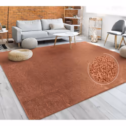 Il suffit parfois de peu de choses : contrairement à d'autres tapis qui tentent de briller avec des couleurs vives ou des mot ...