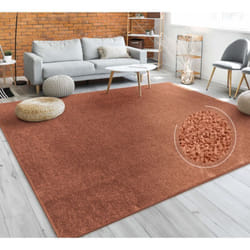 Tapis Salon Uni Sobre Et Moderne Poils Ras, Diff. Tailles/Coloris 80x150 cm, Cuivre - Paco Home