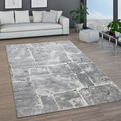 Paco Home - Tapis De Salon Tapis Poils Ras Motifs Marocains Cercle Et Bordures Moderne 80x150 cm, Gris 6