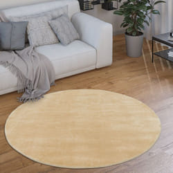Paco Home - Tapis Rond Salon Tapis Poil Ras Moderne Moelleux Lavable Monochrome Beige, 160 cm rond