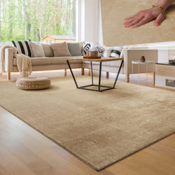 Paco Home - Tapis Moderne Salon à Poils Courts Lavable Doux Uni Effet Fourrure Antidérapant 120x170 cm, Beige 2