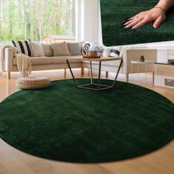 Paco Home - Tapis Moderne Salon à Poils Courts Lavable Doux Uni Effet Fourrure Antidérapant Vert, 120 cm rond