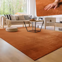 Quel confort;: là où d'autres tapis nécessitent des motifs compliqués et des designs bigarrés pour se démarquer, ces chaleure ...