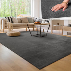 Paco Home - Tapis Moderne Salon à Poils Courts Lavable Doux Uni Effet Fourrure Antidérapant Anthracite, 300x400 cm
