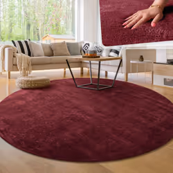 Quel confort;: là où d'autres tapis nécessitent des motifs compliqués et des designs bigarrés pour se démarquer, ces chaleure ...