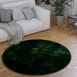 Paco Home - Tapis Rond Salon Tapis Poil Ras Moderne Moelleux Lavable Monochrome Vert, 80 cm rond