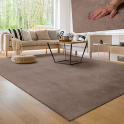 Paco Home - Tapis Moderne Salon à Poils Courts Lavable Doux Uni Effet Fourrure Antidérapant 120x170 cm, Taupe