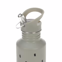 Lässig 1210026581 gourde 500 ml Polypropylène (PP), Silicone, Acier inoxydable Vert