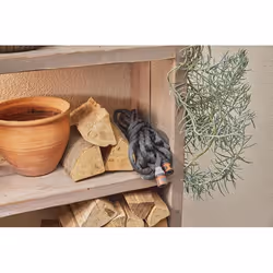 Gardena Liano tuyau d'arrosage 15 m Au-dessus du sol Polyvinyl chloride (PVC), Textile Noir, Gris - Vue supplémentaire 5