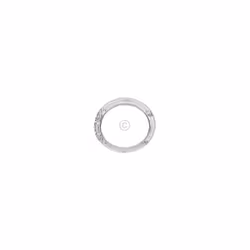 Cadre intérieur de hublot pour Lave-Linge BOSCH 11007327. Matière de la pièce : Plastique.