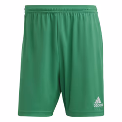 Pantalon de sport Adidas IC7405 pour homme en vert