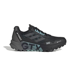 Chaussures de trail femme adidas Terrex Agravic Flow 2.0 GORE-TEX - noir - 44