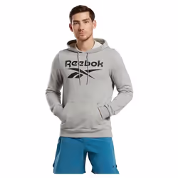 Sweatshirt à capuche Reebok Identity French Terry Vector