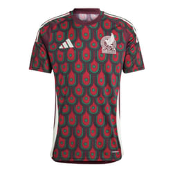 Maillot Domicile Mexique 24 en Multicolore
