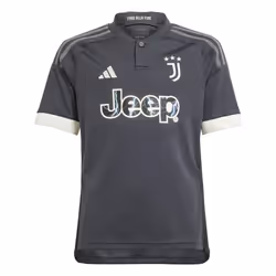 Maillot Third Juventus 23/24 Enfants en Gris - 11/12 ans