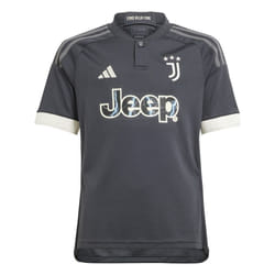 Maillot Third Juventus 23/24 Enfants en Gris - 11/12 ans