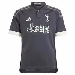 Maillot Third Juventus 23/24 Enfants en Gris
